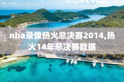 nba录像热火总决赛2014,热火14年总决赛数据-第1张图片-雷速体育