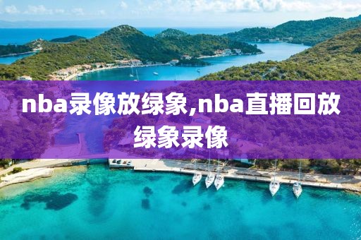 nba录像放绿象,nba直播回放绿象录像-第1张图片-雷速体育