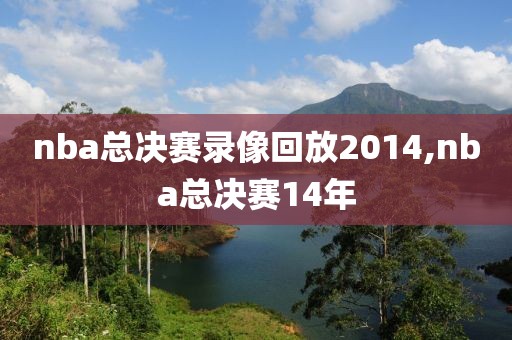 nba总决赛录像回放2014,nba总决赛14年-第1张图片-雷速体育