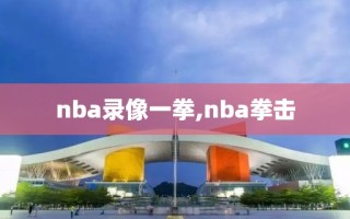 nba录像一拳,nba拳击