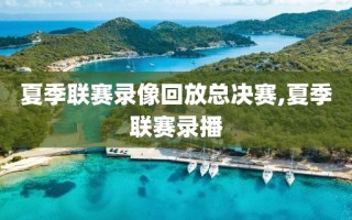 夏季联赛录像回放总决赛,夏季联赛录播