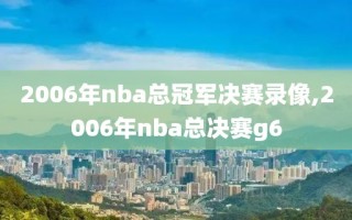 2006年nba总冠军决赛录像,2006年nba总决赛g6