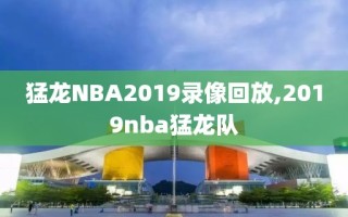 猛龙NBA2019录像回放,2019nba猛龙队