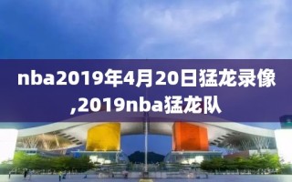 nba2019年4月20日猛龙录像,2019nba猛龙队