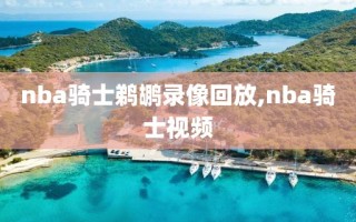 nba骑士鹈鹕录像回放,nba骑士视频