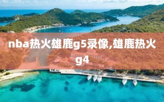 nba热火雄鹿g5录像,雄鹿热火g4