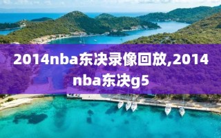 2014nba东决录像回放,2014nba东决g5