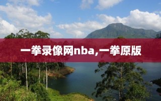 一拳录像网nba,一拳原版