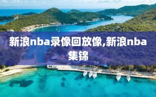 新浪nba录像回放像,新浪nba集锦