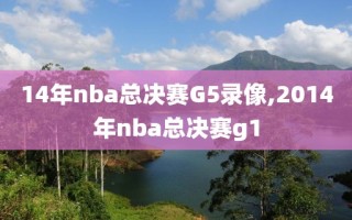 14年nba总决赛G5录像,2014年nba总决赛g1