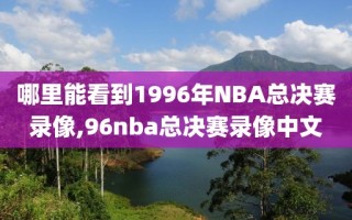 哪里能看到1996年NBA总决赛录像,96nba总决赛录像中文