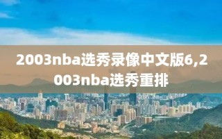 2003nba选秀录像中文版6,2003nba选秀重排