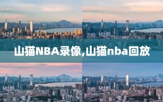山猫NBA录像,山猫nba回放