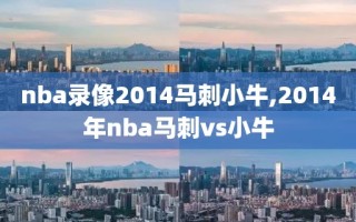 nba录像2014马刺小牛,2014年nba马刺vs小牛