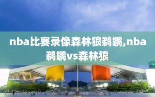 nba比赛录像森林狼鹈鹕,nba鹈鹕vs森林狼