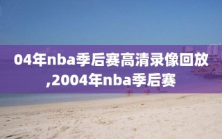 04年nba季后赛高清录像回放,2004年nba季后赛