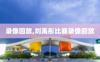 录像回放,刘禹彤比赛录像回放