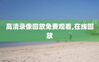 高清录像回放免费观看,在线回放