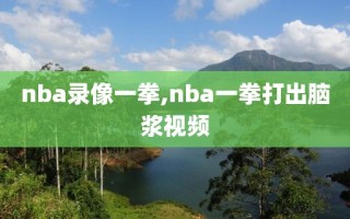 nba录像一拳,nba一拳打出脑浆视频