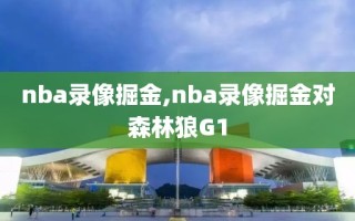 nba录像掘金,nba录像掘金对森林狼G1