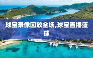 球宝录像回放全场,球宝直播篮球