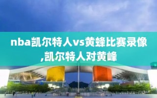 nba凯尔特人vs黄蜂比赛录像,凯尔特人对黄峰