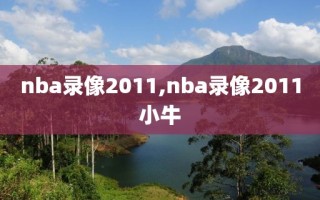 nba录像2011,nba录像2011小牛