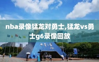 nba录像猛龙对勇士,猛龙vs勇士g6录像回放