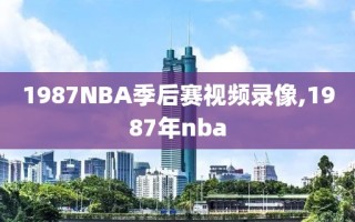 1987NBA季后赛视频录像,1987年nba