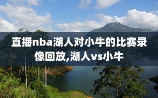 直播nba湖人对小牛的比赛录像回放,湖人vs小牛