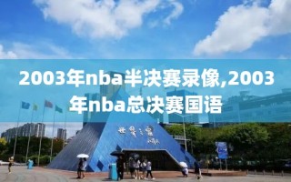 2003年nba半决赛录像,2003年nba总决赛国语