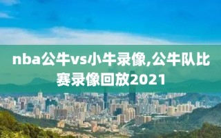 nba公牛vs小牛录像,公牛队比赛录像回放2021