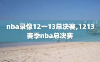 nba录像12一13总决赛,1213赛季nba总决赛