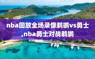 nba回放全场录像鹈鹕vs勇士,nba勇士对战鹈鹕