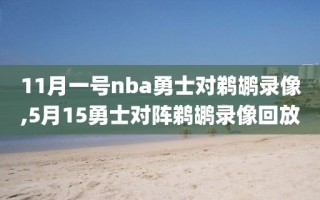 11月一号nba勇士对鹈鹕录像,5月15勇士对阵鹈鹕录像回放