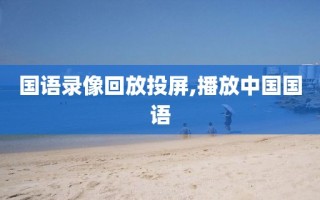 国语录像回放投屏,播放中国国语