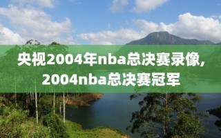 央视2004年nba总决赛录像,2004nba总决赛冠军