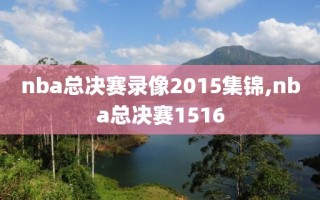 nba总决赛录像2015集锦,nba总决赛1516