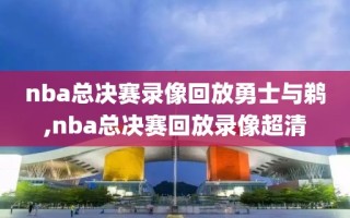 nba总决赛录像回放勇士与鹈,nba总决赛回放录像超清