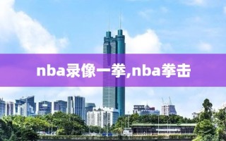 nba录像一拳,nba拳击