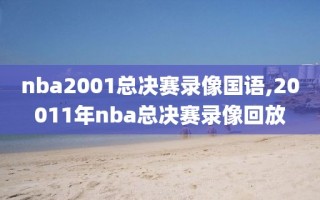 nba2001总决赛录像国语,20011年nba总决赛录像回放