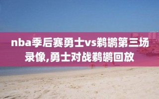 nba季后赛勇士vs鹈鹕第三场录像,勇士对战鹈鹕回放