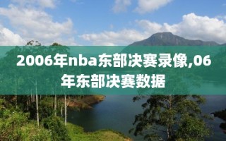 2006年nba东部决赛录像,06年东部决赛数据