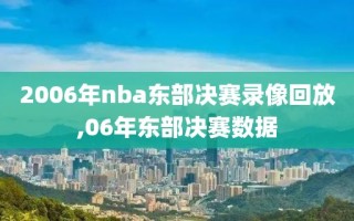 2006年nba东部决赛录像回放,06年东部决赛数据