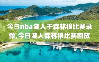 今日nba湖人于森林狼比赛录像,今日湖人森林狼比赛回放