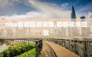 nba鹈鹕回放录像,鹈鹕视频回放