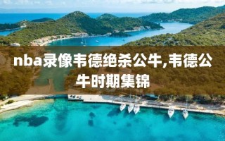 nba录像韦德绝杀公牛,韦德公牛时期集锦