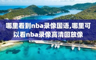 哪里看到nba录像国语,哪里可以看nba录像高清回放像