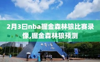 2月3曰nba掘金森林狼比赛录像,掘金森林狼预测