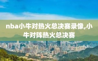 nba小牛对热火总决赛录像,小牛对阵热火总决赛